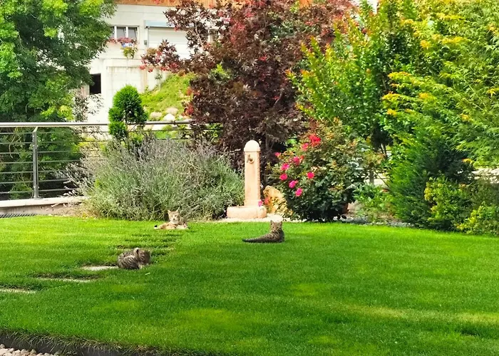 Agritur LA FENICE