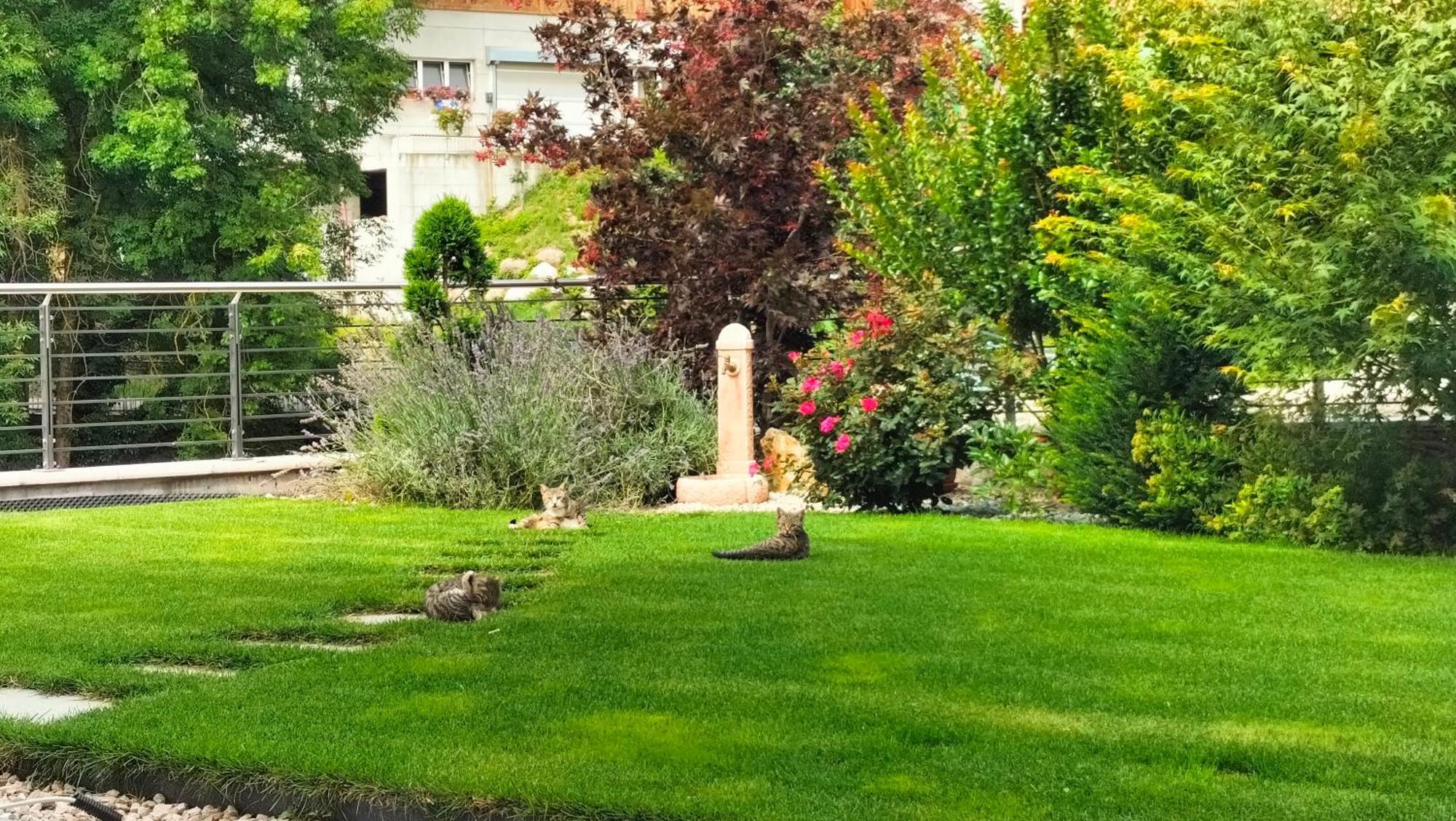 Agritur La Fenice *
